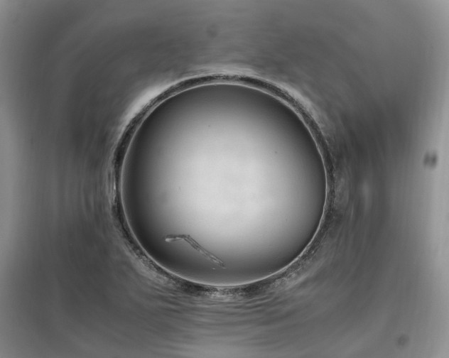 X0000097881271200803141312