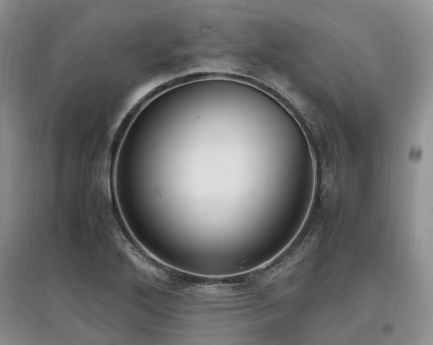 X0000097881272200803141312