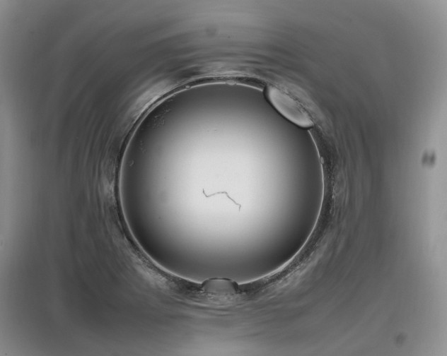 X0000097881273200803141312
