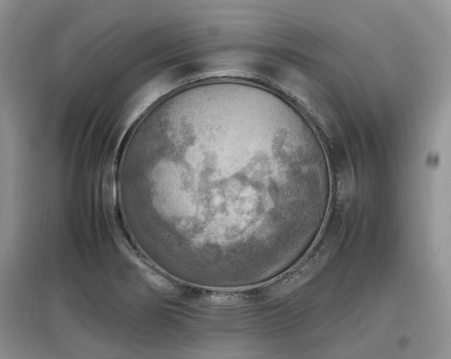 X0000097881274200803141312