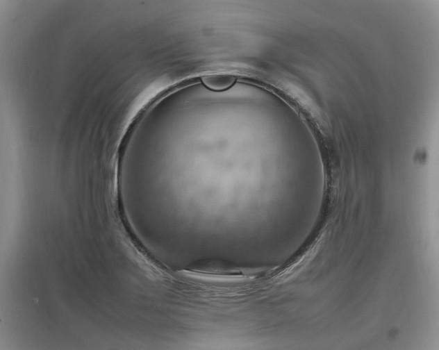 X0000097881275200803141312