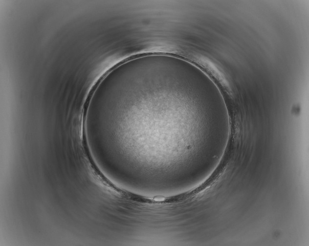 X0000097881276200803141312
