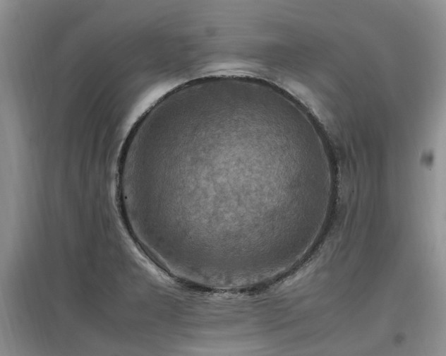 X0000097881277200803141312