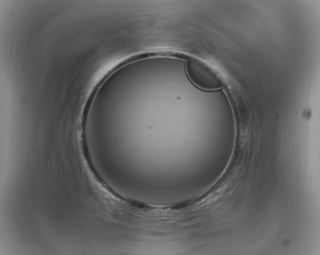 X0000097881279200803141312