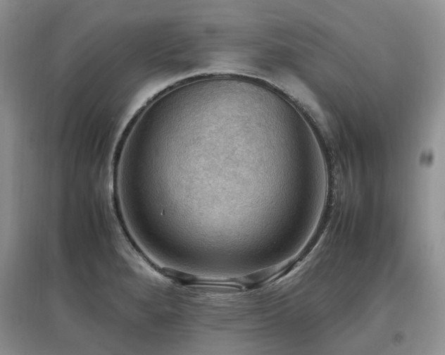 X0000097881280200803141312
