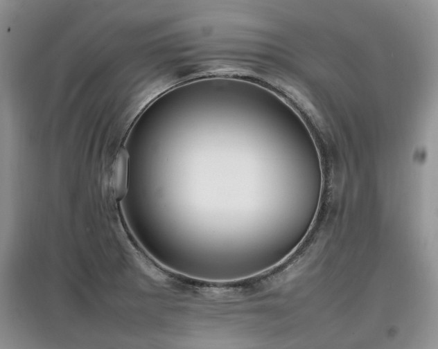X0000097881281200803141312