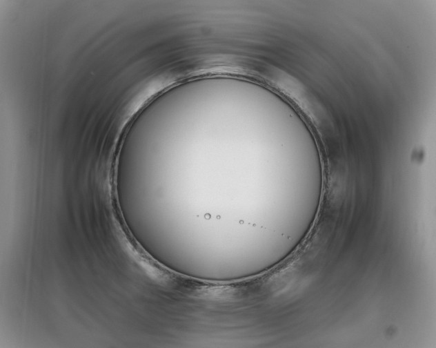 X0000097881282200803141312