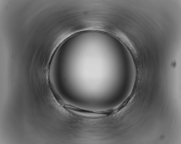 X0000097881284200803141312