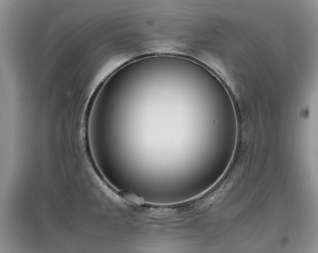 X0000097881285200803141312