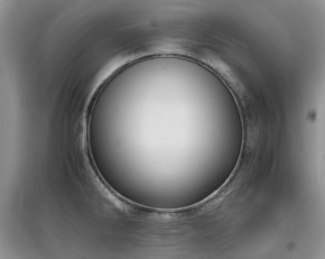 X0000097881286200803141312