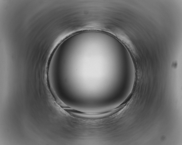 X0000097881288200803141312