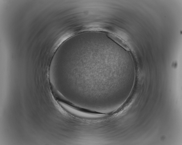 X0000097881289200803141312