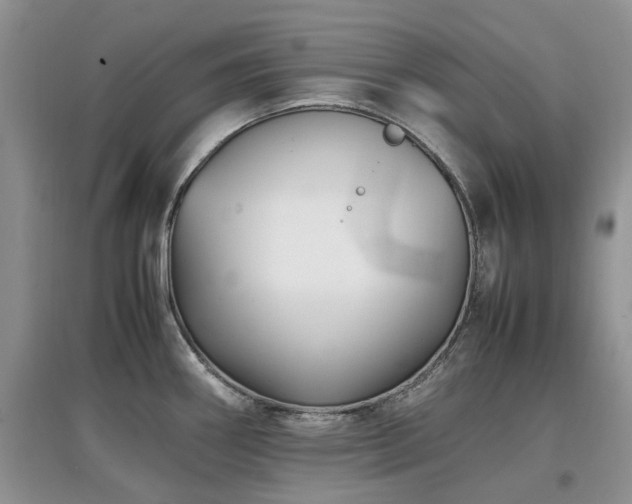 X0000097881290200803141312