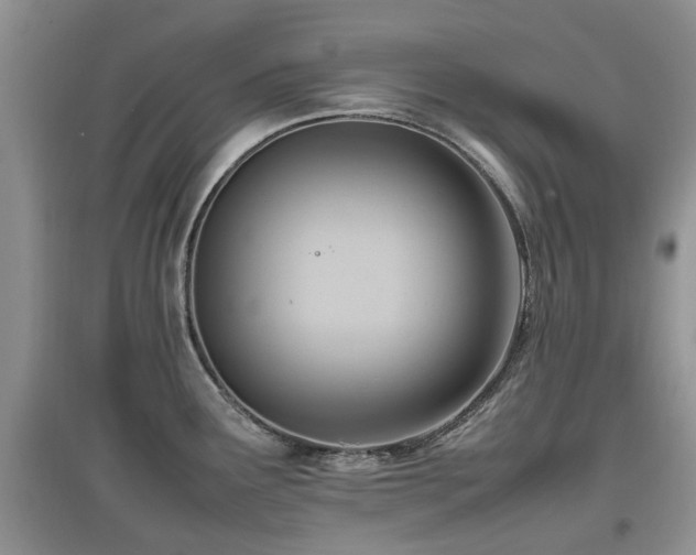 X0000097881291200803141312