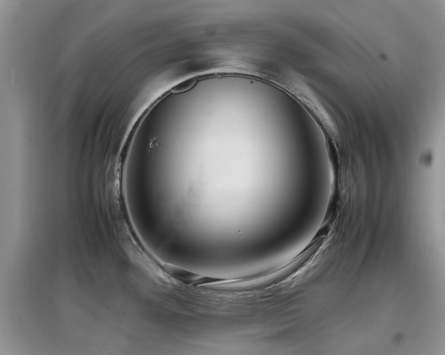 X0000097881292200803141312