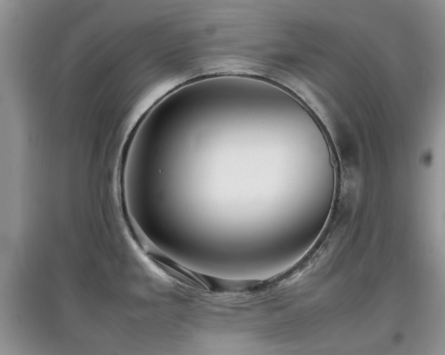 X0000097881293200803141312