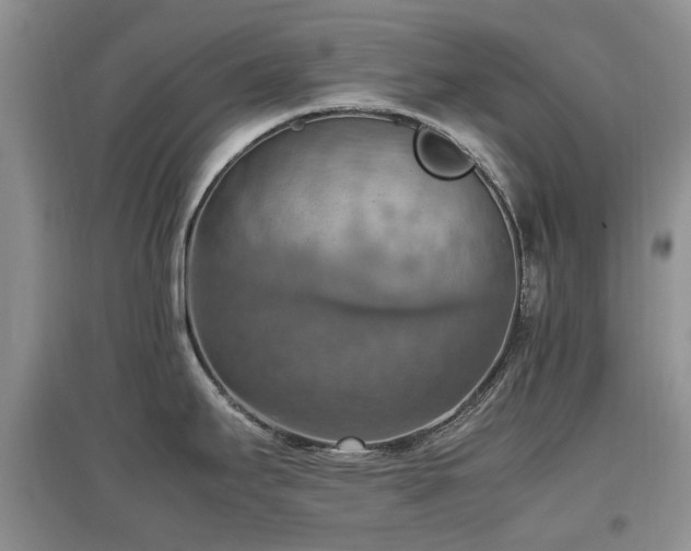 X0000097881295200803141312