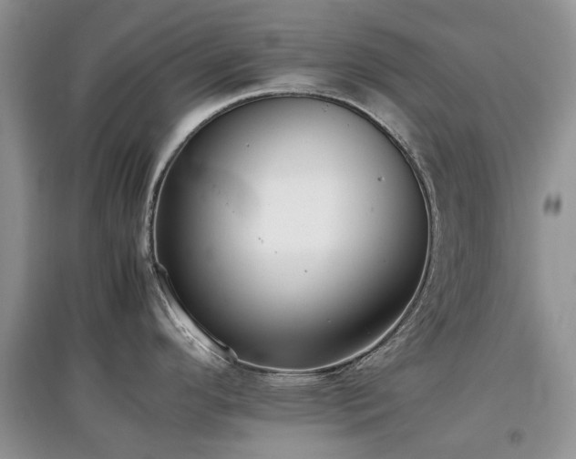 X0000097881296200803141312