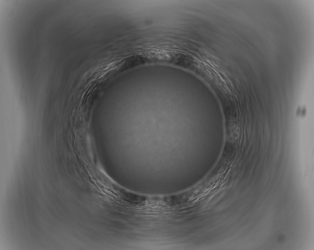 X0000097881297200803141311