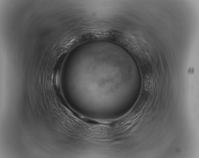 X0000097881298200803141311