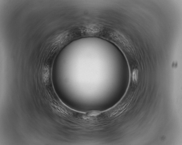 X0000097881299200803141311