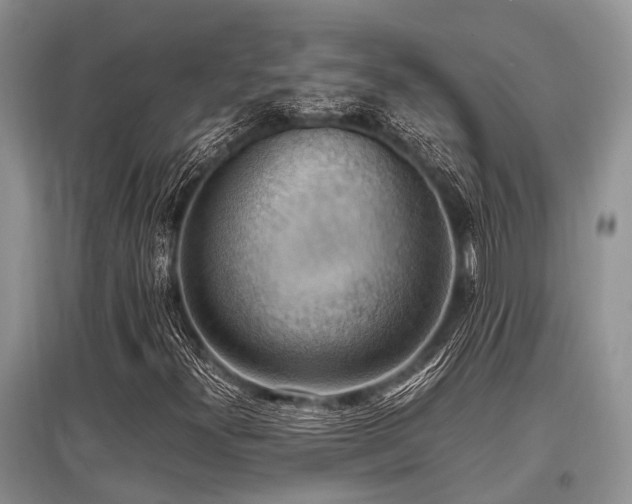X0000097881300200803141311
