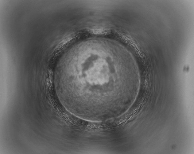 X0000097881301200803141311