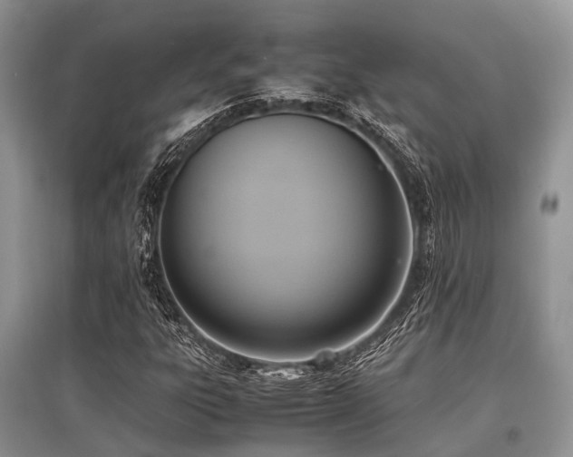 X0000097881303200803141311