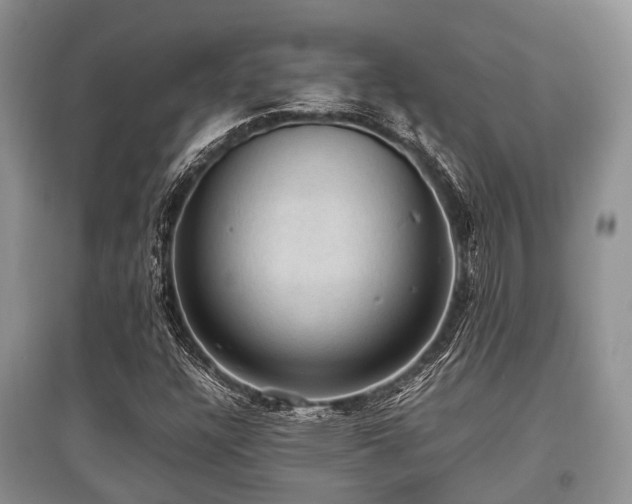 X0000097881304200803141311