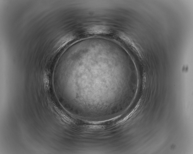 X0000097881305200803141311