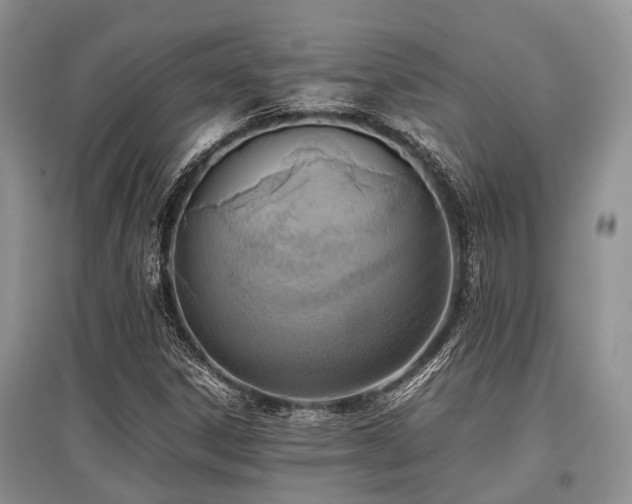 X0000097881306200803141311