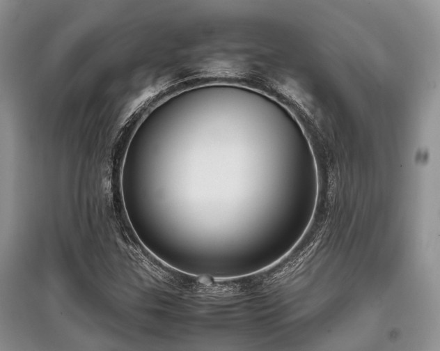 X0000097881307200803141311