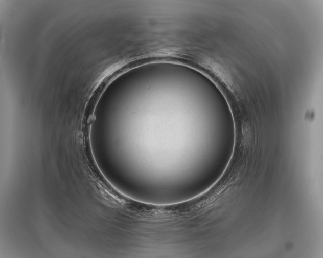 X0000097881308200803141311