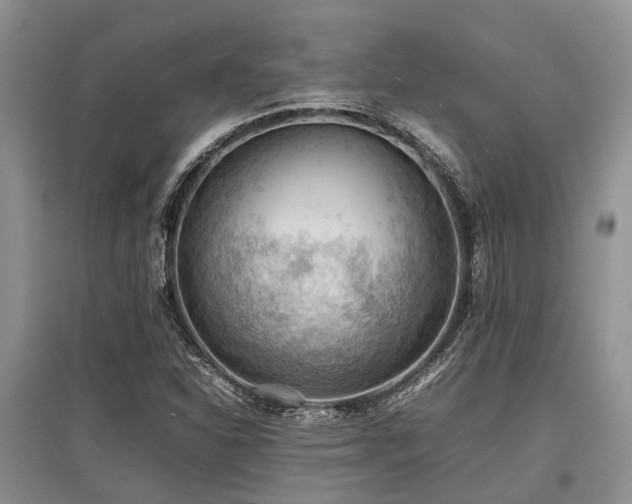 X0000097881310200803141311