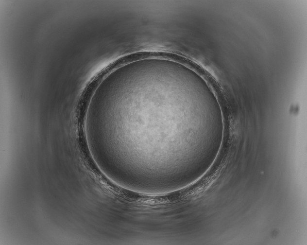 X0000097881311200803141311