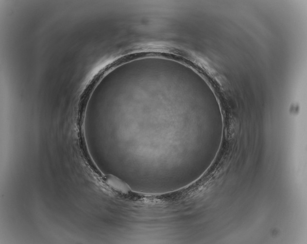 X0000097881312200803141311
