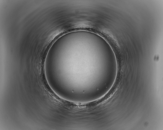 X0000097881313200803141311