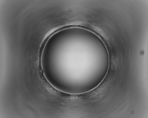 X0000097881316200803141311