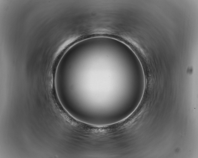 X0000097881317200803141311