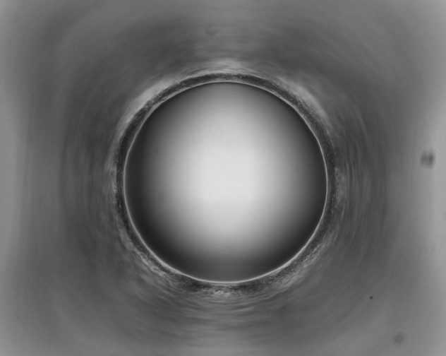 X0000097881318200803141311
