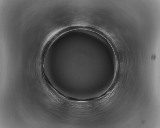 X0000097881319200803141311