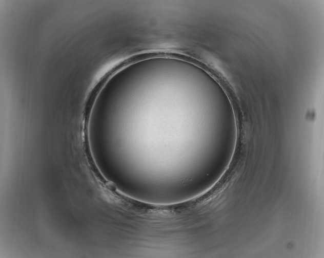 X0000097881320200803141311