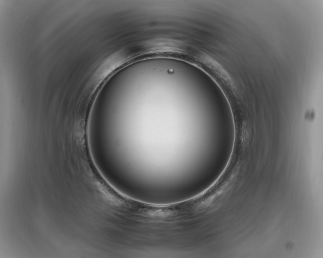 X0000097881321200803141311