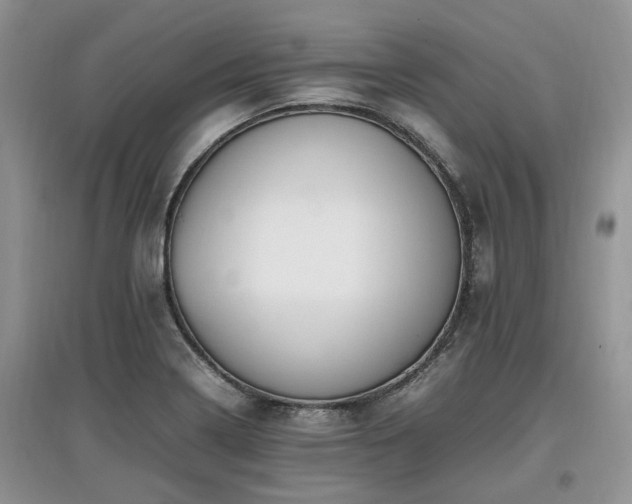 X0000097881322200803141311