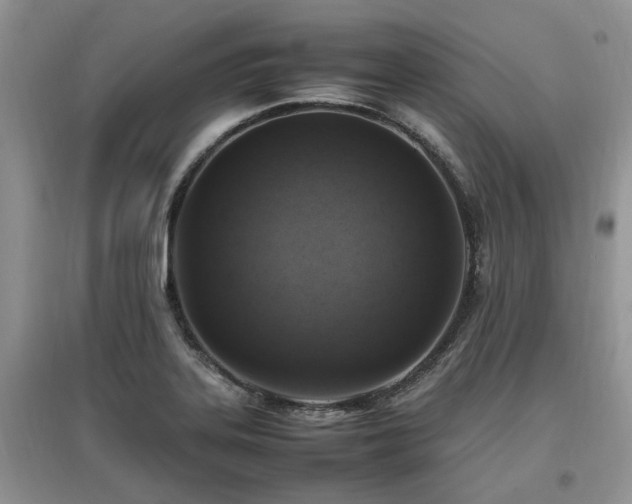 X0000097881323200803141311
