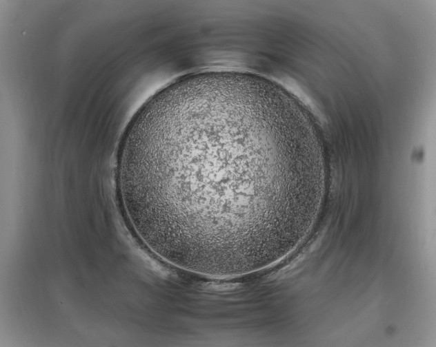 X0000097881325200803141311