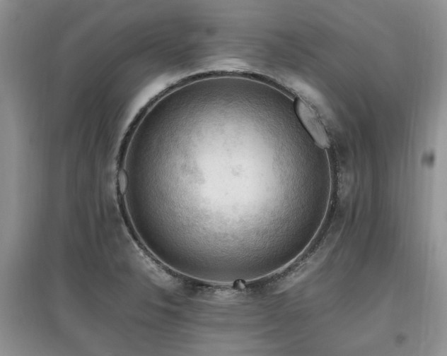 X0000097881326200803141311