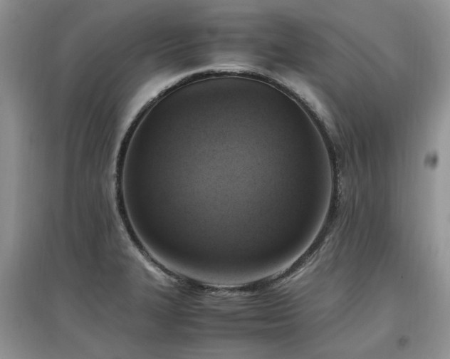 X0000097881327200803141311