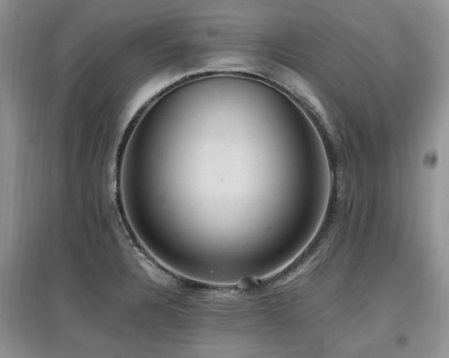 X0000097881328200803141311