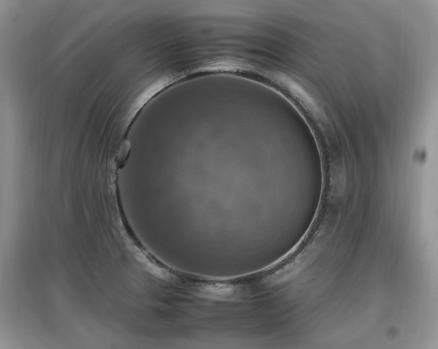 X0000097881329200803141311